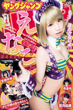 夏至未至小说