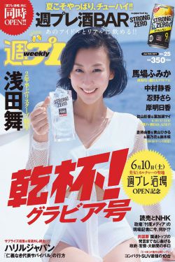 图腾领域